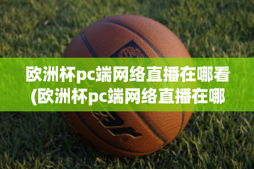 欧洲杯pc端网络直播在哪看(欧洲杯pc端网络直播在哪看回放)