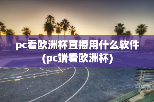 pc看欧洲杯直播用什么软件(pc端看欧洲杯)