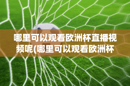 哪里可以观看欧洲杯直播视频呢(哪里可以观看欧洲杯直播视频呢英语)