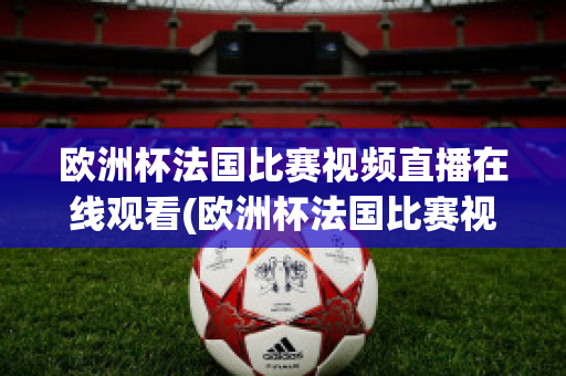 欧洲杯法国比赛视频直播在线观看(欧洲杯法国比赛视频直播在线观看下载)