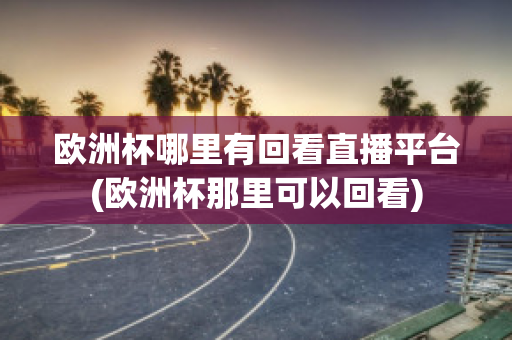 欧洲杯哪里有回看直播平台(欧洲杯那里可以回看)