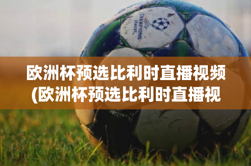 欧洲杯预选比利时直播视频(欧洲杯预选比利时直播视频在线观看)