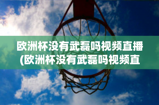 欧洲杯没有武磊吗视频直播(欧洲杯没有武磊吗视频直播在线观看)