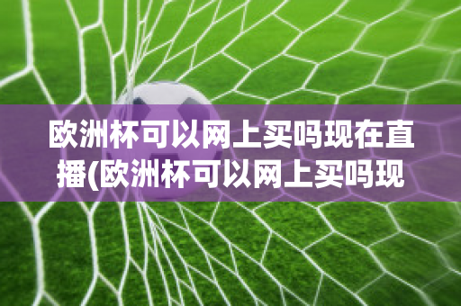 欧洲杯可以网上买吗现在直播(欧洲杯可以网上买吗现在直播在哪看)