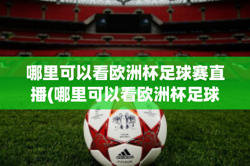 哪里可以看欧洲杯足球赛直播(哪里可以看欧洲杯足球赛直播视频)