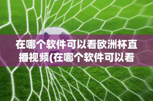 在哪个软件可以看欧洲杯直播视频(在哪个软件可以看欧洲杯直播视频回放)