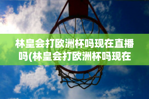 林皇会打欧洲杯吗现在直播吗(林皇会打欧洲杯吗现在直播吗)