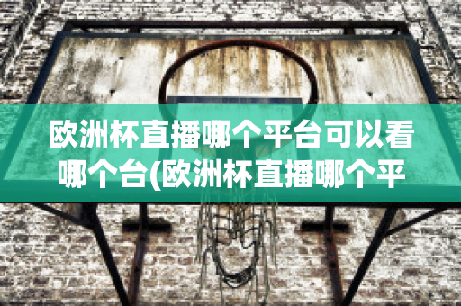 欧洲杯直播哪个平台可以看哪个台(欧洲杯直播哪个平台可以看哪个台播放)