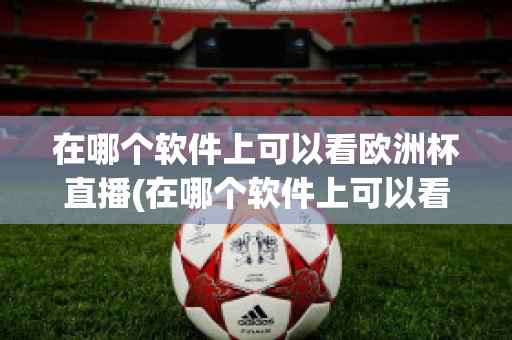 在哪个软件上可以看欧洲杯直播(在哪个软件上可以看欧洲杯直播视频)