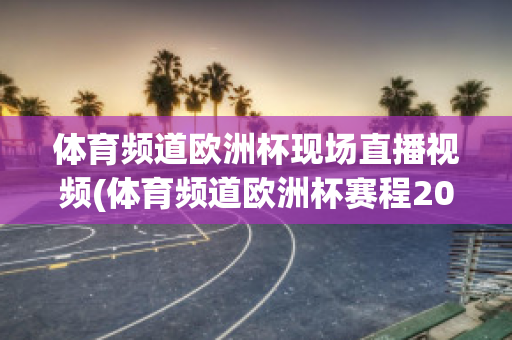 体育频道欧洲杯现场直播视频(体育频道欧洲杯赛程2021赛程表)