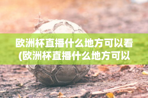 欧洲杯直播什么地方可以看(欧洲杯直播什么地方可以看到)