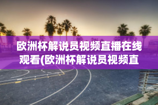 欧洲杯解说员视频直播在线观看(欧洲杯解说员视频直播在线观看下载)