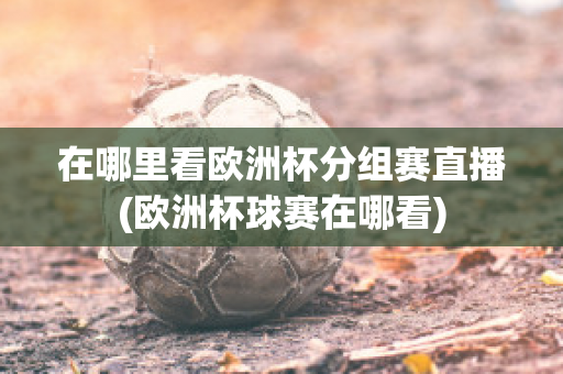 在哪里看欧洲杯分组赛直播(欧洲杯球赛在哪看)