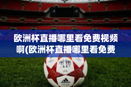 欧洲杯直播哪里看免费视频啊(欧洲杯直播哪里看免费视频啊最新)