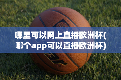 哪里可以网上直播欧洲杯(哪个app可以直播欧洲杯)