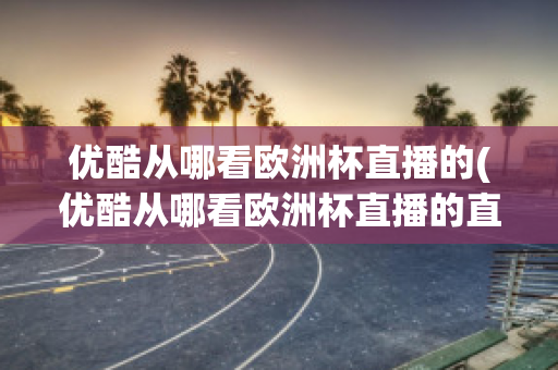 优酷从哪看欧洲杯直播的(优酷从哪看欧洲杯直播的直播)