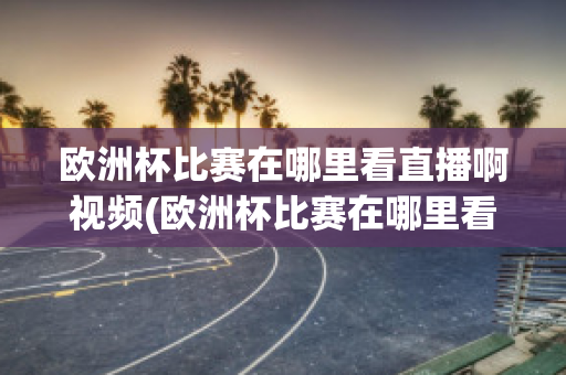 欧洲杯比赛在哪里看直播啊视频(欧洲杯比赛在哪里看直播啊视频教学)