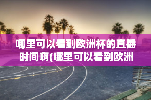 哪里可以看到欧洲杯的直播时间啊(哪里可以看到欧洲杯的直播时间啊英文)