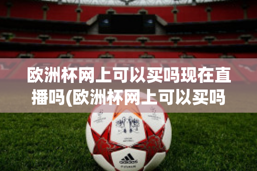 欧洲杯网上可以买吗现在直播吗(欧洲杯网上可以买吗现在直播吗视频)