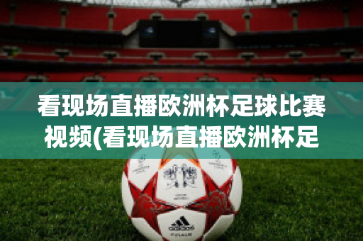 看现场直播欧洲杯足球比赛视频(看现场直播欧洲杯足球比赛视频)