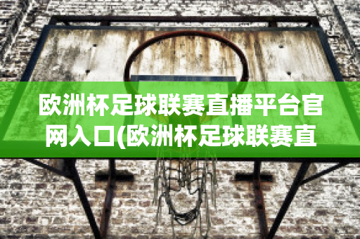 欧洲杯足球联赛直播平台官网入口(欧洲杯足球联赛直播平台官网入口网址)