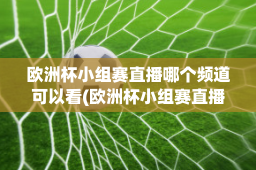 欧洲杯小组赛直播哪个频道可以看(欧洲杯小组赛直播哪个频道可以看回放)