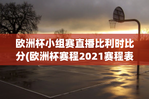 欧洲杯小组赛直播比利时比分(欧洲杯赛程2021赛程表比利时球员)