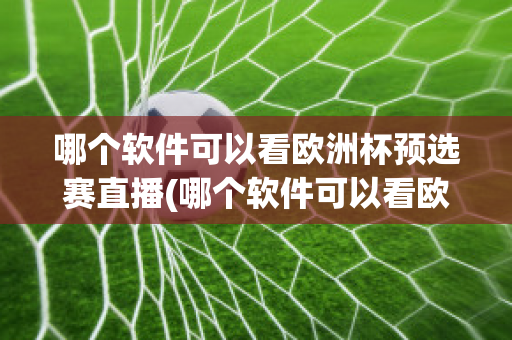 哪个软件可以看欧洲杯预选赛直播(哪个软件可以看欧洲杯预选赛直播视频)