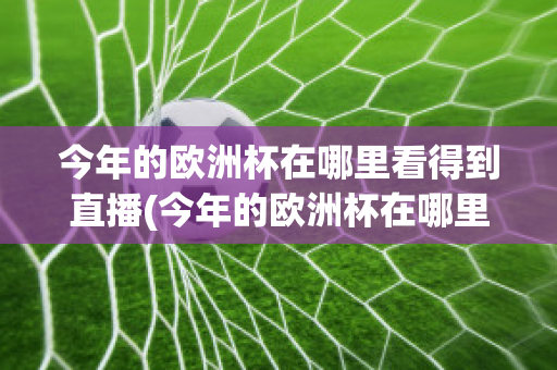 今年的欧洲杯在哪里看得到直播(今年的欧洲杯在哪里看得到直播呢)