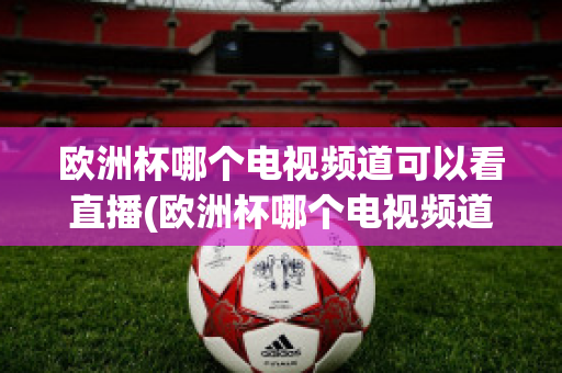 欧洲杯哪个电视频道可以看直播(欧洲杯哪个电视频道可以看直播回放)