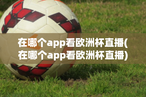 在哪个app看欧洲杯直播(在哪个app看欧洲杯直播)