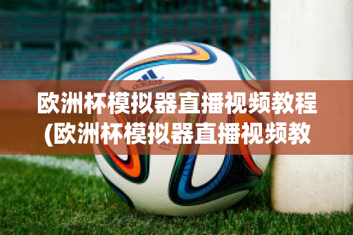 欧洲杯模拟器直播视频教程(欧洲杯模拟器直播视频教程大全)