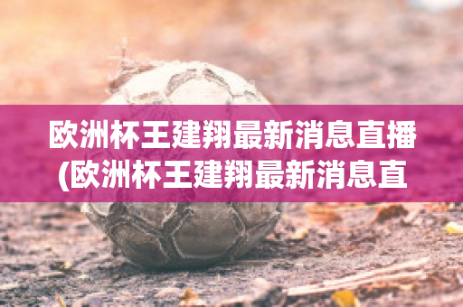 欧洲杯王建翔最新消息直播(欧洲杯王建翔最新消息直播在哪看)