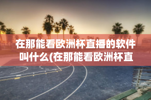 在那能看欧洲杯直播的软件叫什么(在那能看欧洲杯直播的软件叫什么来着)