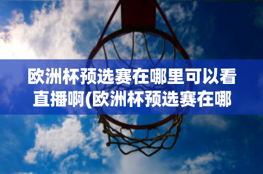 欧洲杯预选赛在哪里可以看直播啊(欧洲杯预选赛在哪里可以看直播啊英文)