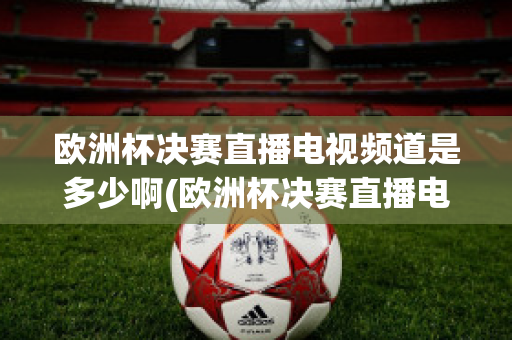 欧洲杯决赛直播电视频道是多少啊(欧洲杯决赛直播电视频道是多少啊回放)