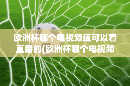 欧洲杯哪个电视频道可以看直播的(欧洲杯哪个电视频道可以看直播的)