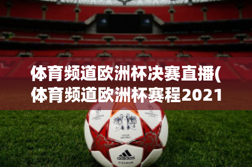 体育频道欧洲杯决赛直播(体育频道欧洲杯赛程2021赛程表)