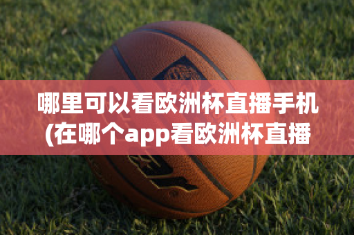 哪里可以看欧洲杯直播手机(在哪个app看欧洲杯直播)