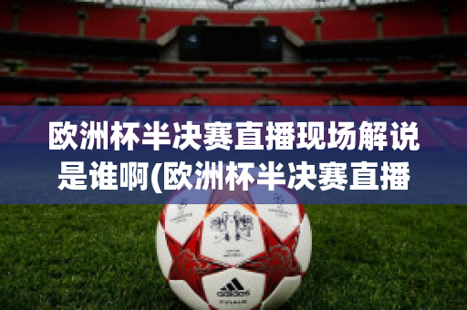 欧洲杯半决赛直播现场解说是谁啊(欧洲杯半决赛直播现场解说是谁啊英文)