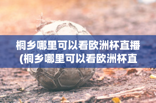 桐乡哪里可以看欧洲杯直播(桐乡哪里可以看欧洲杯直播的地方)