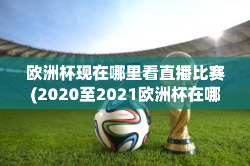 欧洲杯现在哪里看直播比赛(2020至2021欧洲杯在哪里可以看直播)