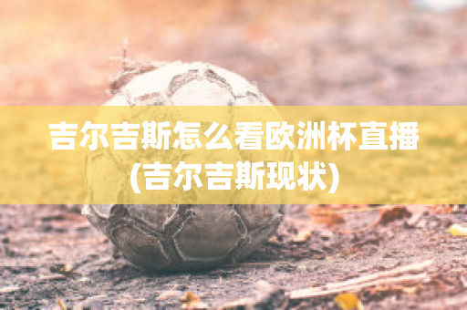 吉尔吉斯怎么看欧洲杯直播(吉尔吉斯现状)