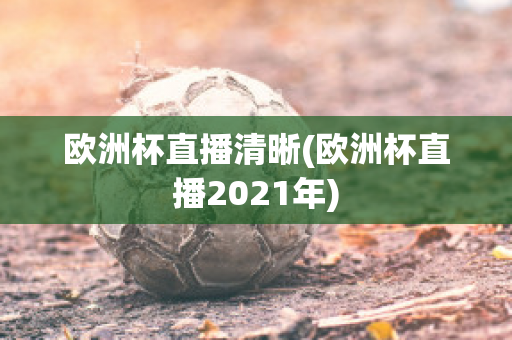 欧洲杯直播清晰(欧洲杯直播2021年)