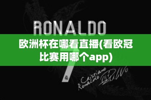 欧洲杯在哪看直播(看欧冠比赛用哪个app)