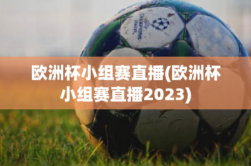 欧洲杯小组赛直播(欧洲杯小组赛直播2023)