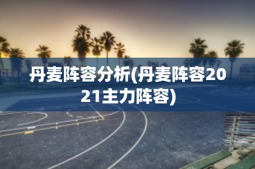 丹麦阵容分析(丹麦阵容2021主力阵容)