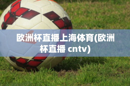 欧洲杯直播上海体育(欧洲杯直播 cntv)