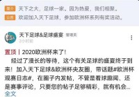 欧洲杯直播情况如何查询:欧洲杯直播情况如何查询的