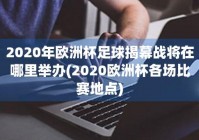 欧洲杯直播到哪里看了中国比赛:欧洲杯直播到哪里看了中国比赛呢